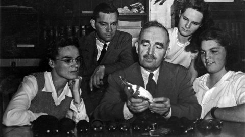 Arthur Allen examines a Belted Kingfisher as Cornell graduate student Brina Kessel (far right) looks on. In 1961, Allen gave Kessel a copy of his Book of Bird Life with the inscription “to the best student we ever had.”