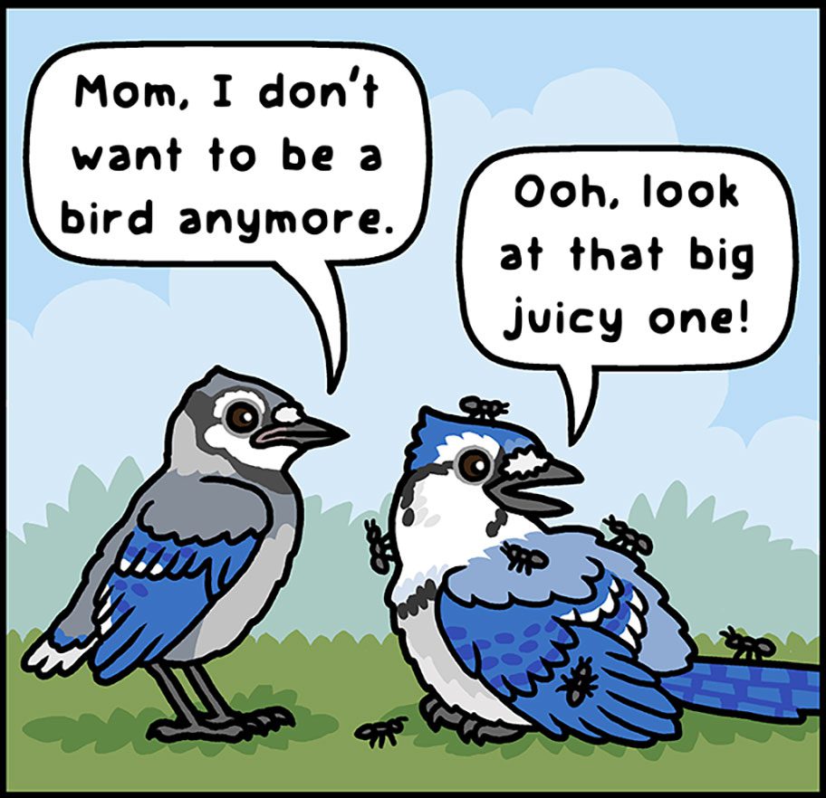 Illustration of a\two blue and white birds. Young bird says: "Mom, I don't want to be a bird anymore," Mother with ants on her says, "Ooh, look at that big juicy one!"