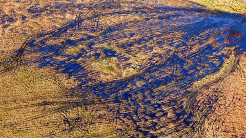 Tire tracks mark illegal ATV access from a nearby road into Izembek, which has left this part of the wilderness scarred. If a road is built that cuts across the refuge, there would likely be deeper ATV incursions throughout the wilderness. Photo by Gerrit Vyn.