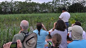 Birdsleuth teachers in the Amazon