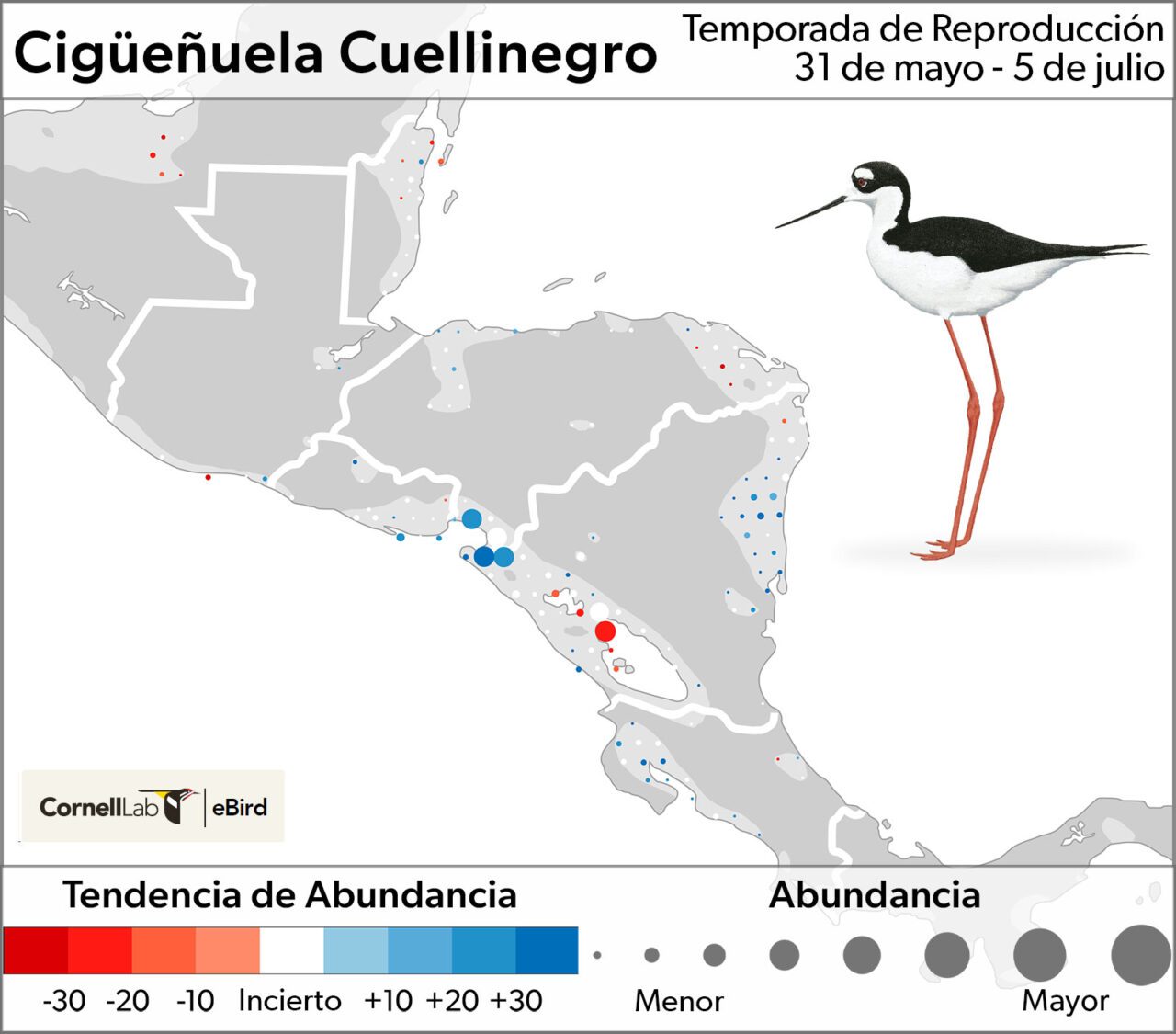 Gray and white map with red and blue colored dots showing abundance of the species, and an illustration of a black and white bird with long orange legs.