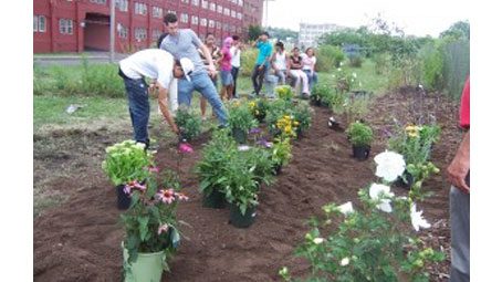 CUbs, Citizen Science as an Instrument for Youth Development