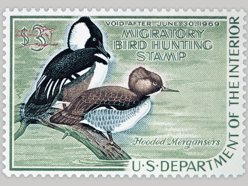 The 1968-1969 Federal Duck Stamp, featuring a pair of Hooded Merganser.