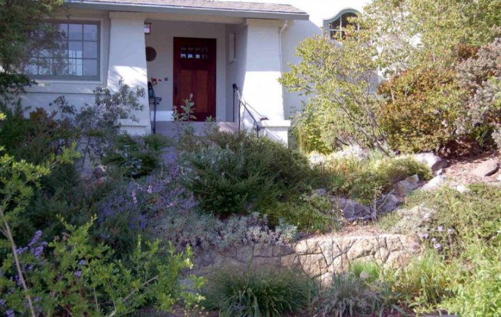 Something Linear.Some landscapers, like Pete Veilleux of East Bay Wilds, recommend adding at least one linear element to a wild garden. Examples include a stone wall, clipped hedge, or decorative fence, each of which pulls the eye across a landscape, bringing a clear visual order to a scene. Photo © Pete Veilleux