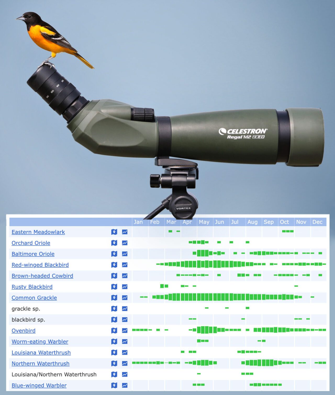 An orange and black bird stands on a scope, and a chart shows an eBird bar chart.