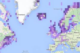 An eBird species map