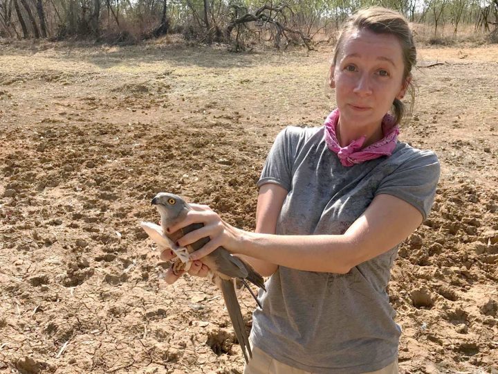 Emma Greig, leader of Project FeederWatch