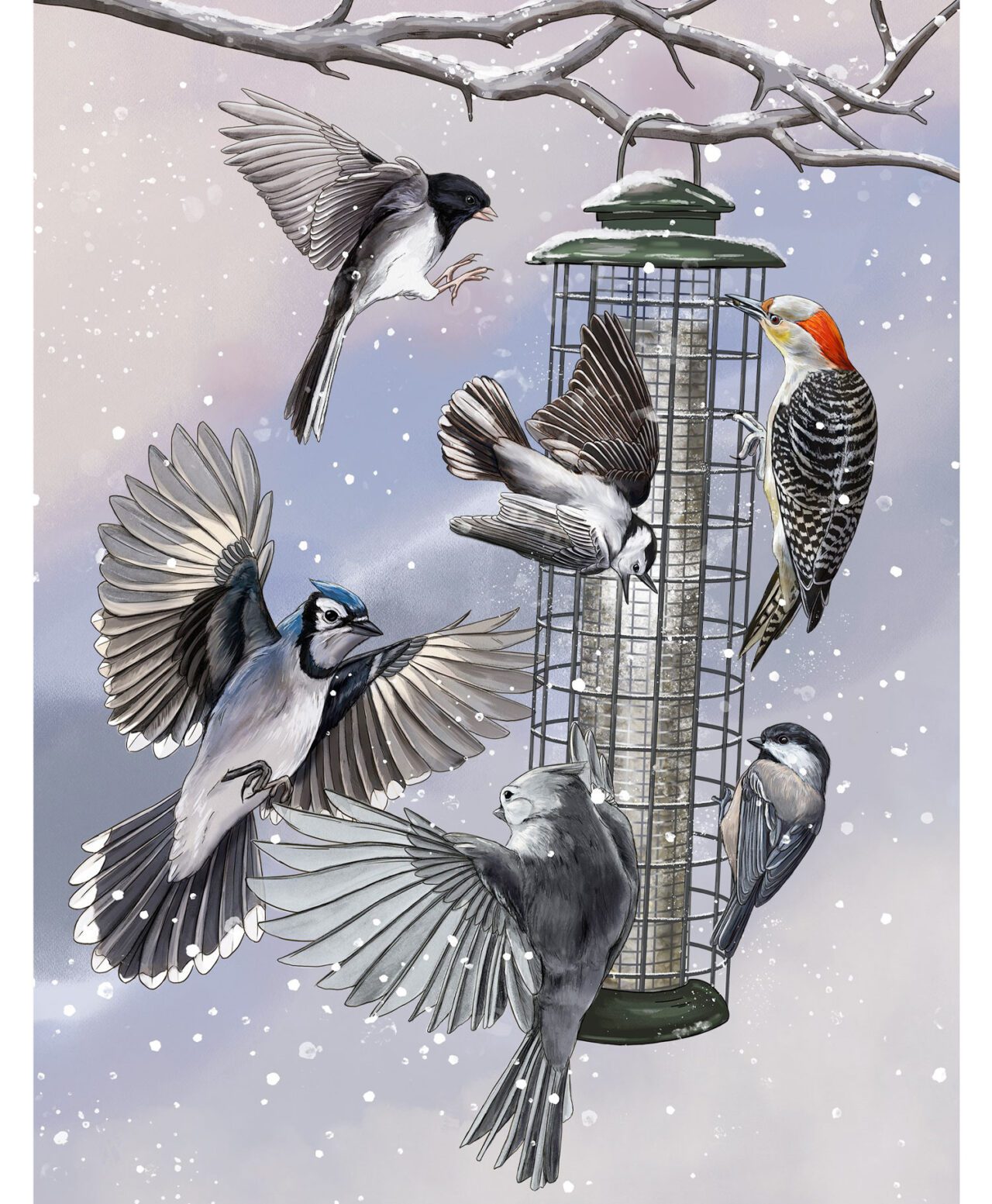 Illustration of different birds at a feeder in the snow.