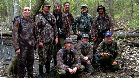 search for the Ivory-billed Woodpecker