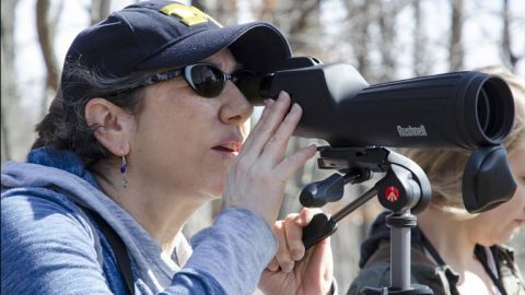 Juliet Berger- April 2016 ebirder of the month