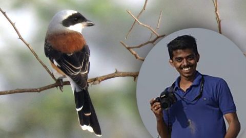 K. Selvaganesh, December 2017 eBirder of the Month