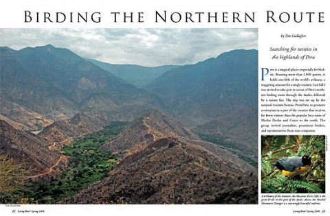 northern peru landscape tropical mountains