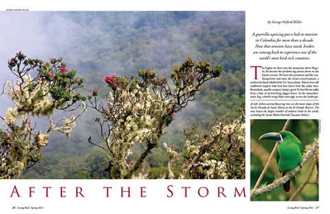 Birding in Colombia