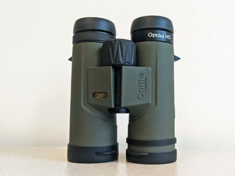 gray/green binoculars with black eye rings, ends and focus wheel