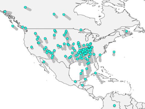 Map of North America with turquoise showing migration paths.