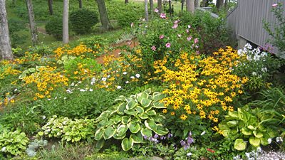 An Adirondack Garden by Carol Norquist