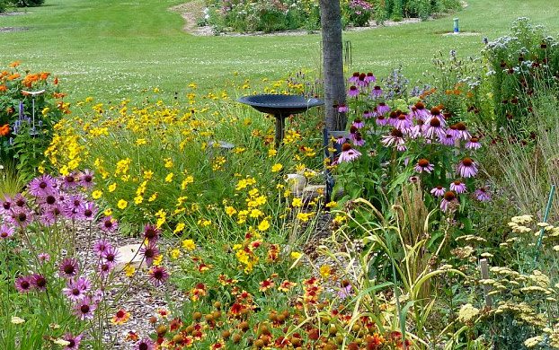 Native flower garden via plantforlife from YardMap, http://content.yardmap.org/learn/native-flowerbeds/