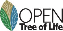 Tree of Life logo