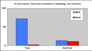 Birds in the Tropics Like a 