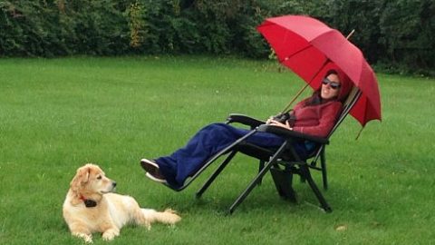 Kelley Yard Birding (in the rain) for the October 2014 eBirder of the Month Challenge