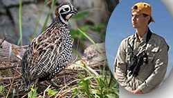 Sam Murray, June 2017 eBirder of the Month