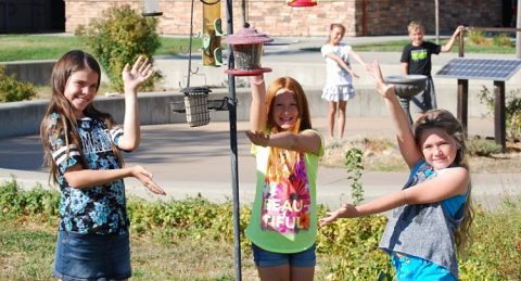 Maintaining feeders at a school