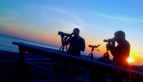 Cape May seawatch at sunset