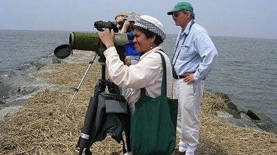 Spring Field ornithology field trip to Cape May.