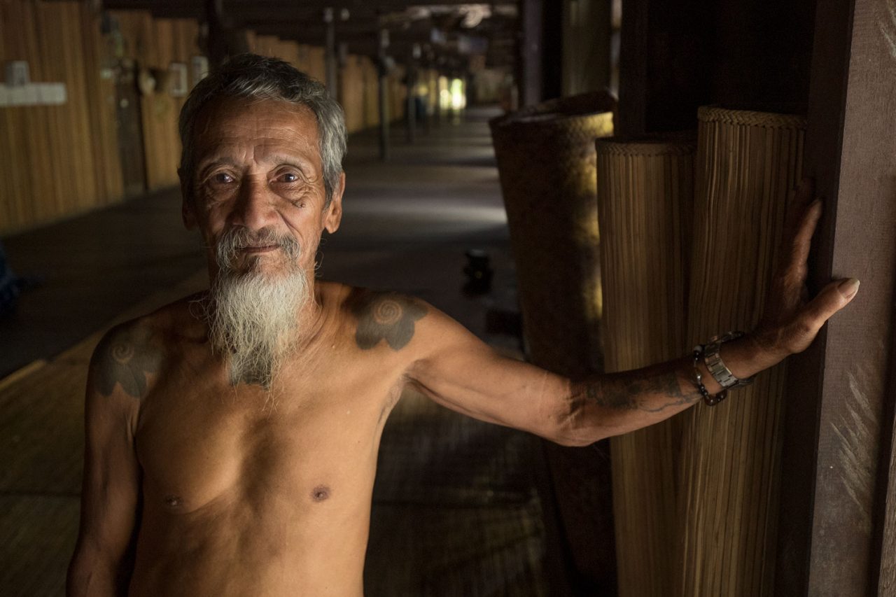 Tribal elder Abai Janggot in Indonesia has pledged to protect the Helmeted Hornbill. Photo by Tim Laman.