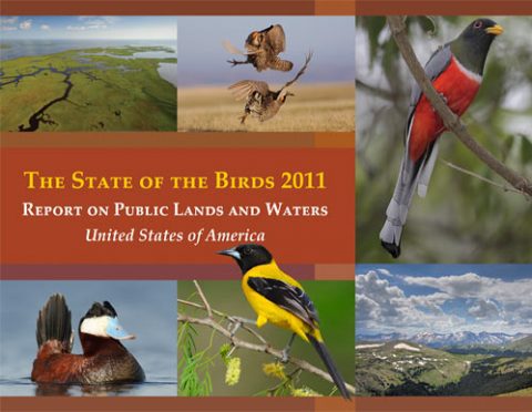 2011 State of the Birds report cover