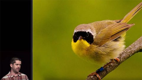 Connot Taff talks about COmmon yellowthroat during a Monday night Seminar