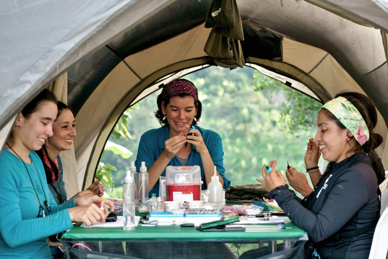 Five woman in a tent examining birds.