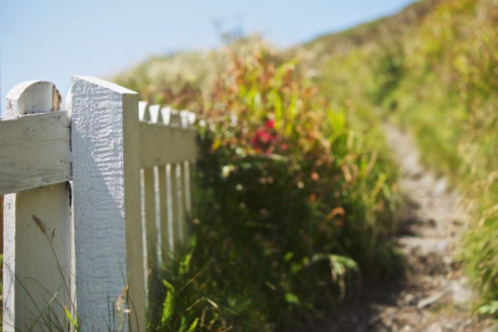 Just Add White? This may seem too easy, but we’ve come across landscapers who swear that adding a white element to a garden in the form of a painted fence or house, is often interpreted as a sign of investment in a property by onlookers. We wonder if this is true for new coat of paint in general, of any color. Photo © Nana B Agyei