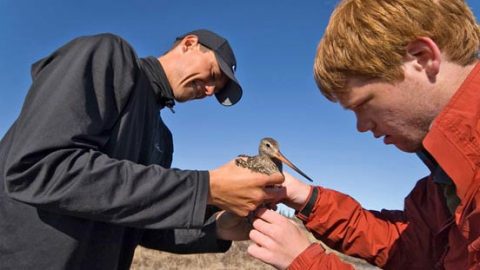 Teens Convene for Young Birders Event